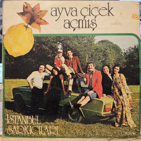 İstanbul Şarkıcıları – Ayva Çiçek Açmış LP PLAK
