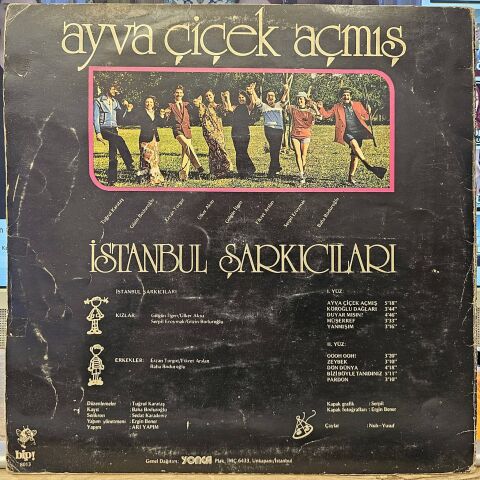 İstanbul Şarkıcıları – Ayva Çiçek Açmış LP PLAK