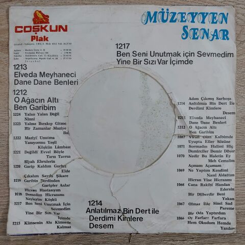 MÜZEYYEN SENAR - YALAN YALAN DEĞİL 45LİK PLAK