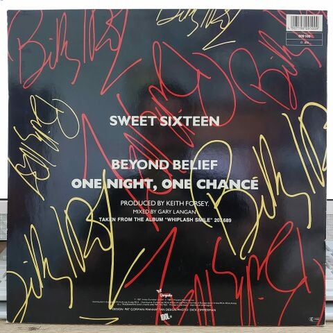 Billy Idol – Sweet Sixteen LP PLAK