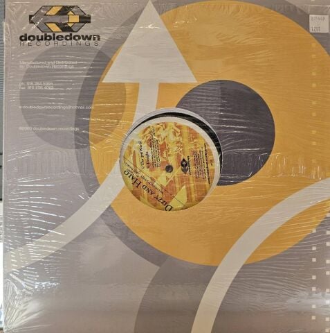 Dizzy And Halo – Welcome To The 3rd World LP PLAK