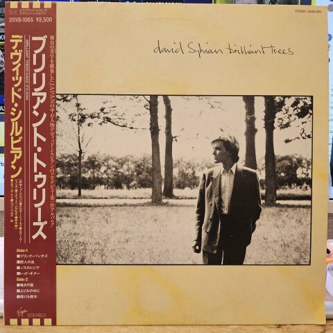 David Sylvian – Brilliant Trees LP PLAK