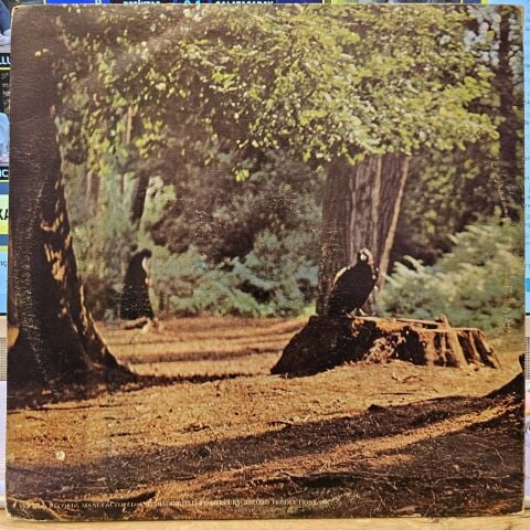 Jimmy Campbell – Half Baked LP PLAK