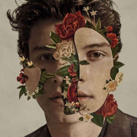 Shawn Mendes - Shawn Mendes LP PLAK