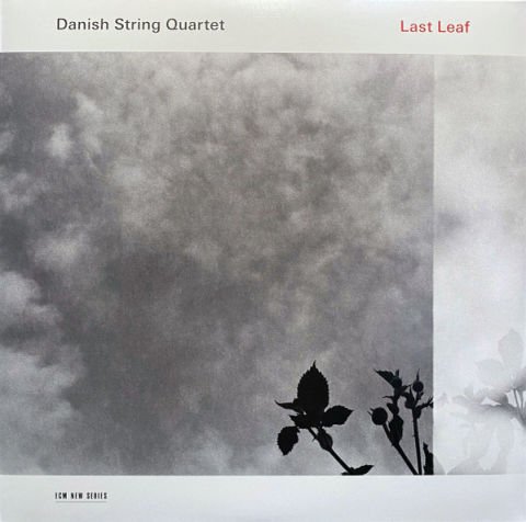 Danish String Quartet – Last Leaf LP PLAK