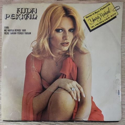 Ajda Pekkan – Ne Varsa Bende Var / Yere Bakan Yürek Yakan 45LİK PLAK