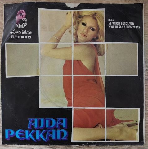 Ajda Pekkan – Ne Varsa Bende Var / Yere Bakan Yürek Yakan 45LİK PLAK