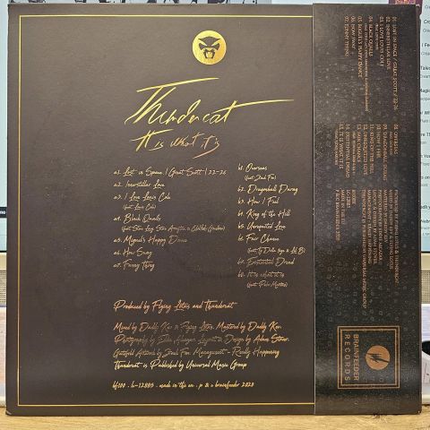 Thundercat – It Is What It Is LP PLAK