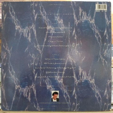 Julio Iglesias – Starry Night LP PLAK