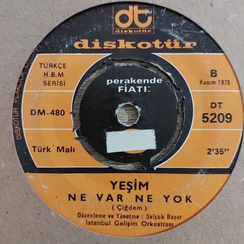 Yeşim – Aklın Neredeydi 45LİK PLAK