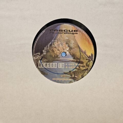 Mr. G – Reason 12 LP PLAK