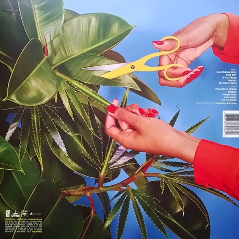 Snoop Dogg – Bush LP PLAK