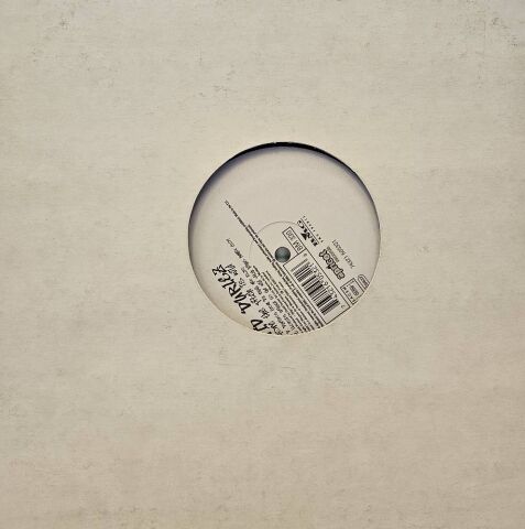 David Duriez – The More The Pitch Is Wild LP PLAK