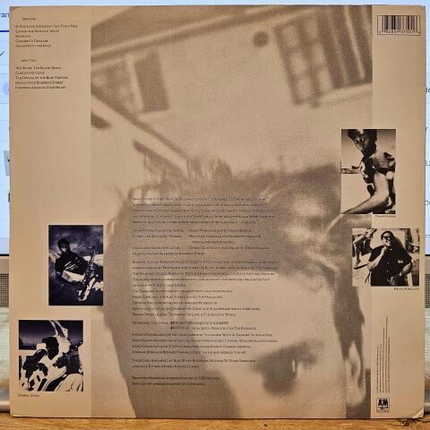 Sting – The Dream Of The Blue Turtles LP PLAK