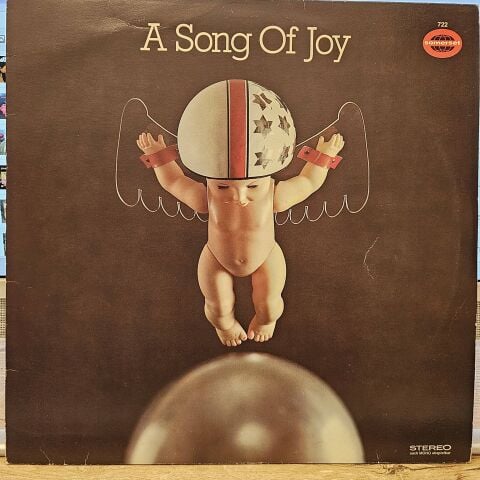 The Scott Allison Choir – A Song Of Joy LP PLAK