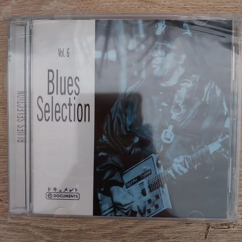 BLUES SELECTİON VOL 6 CD