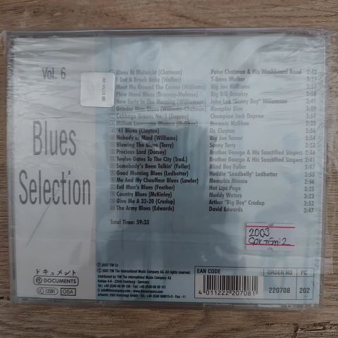 BLUES SELECTİON VOL 6 CD