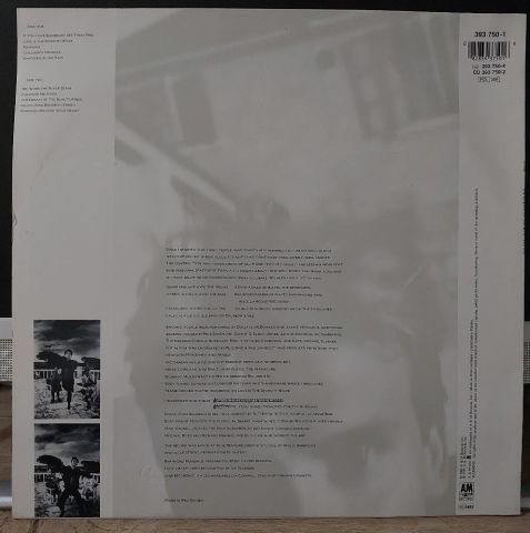 Sting – The Dream Of The Blue Turtles LP PLAK