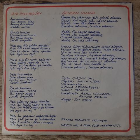 Erol Evgin – İşte Öyle Bir Şey / Sevdan Olmasa 45LİK PLAK