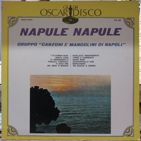 Gruppo Canzoni E Mandolini Di Napoli – Napule Napule LP PLAK