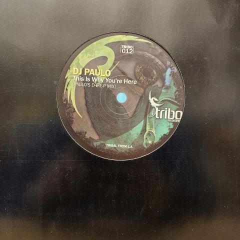 DJ Paulo & Todd Dutkevitch – The Brazilian Rainforest / This Is Why You're Here LP PLAK