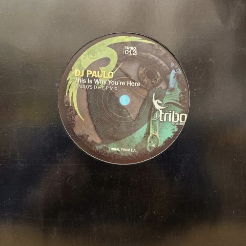 DJ Paulo & Todd Dutkevitch – The Brazilian Rainforest / This Is Why You're Here LP PLAK