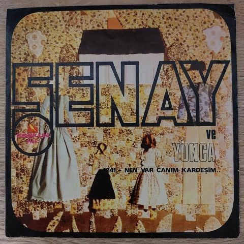 Şenay – Hayat Bayram Olsa 45LİK PLAK