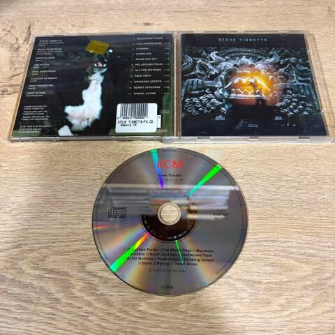 STEVE TIBBETS - THE FALL OF US ALL CD