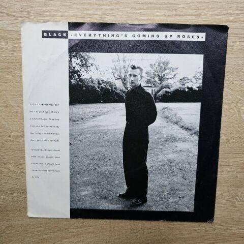 Black – Everything's Coming Up Roses 45LİK PLAK