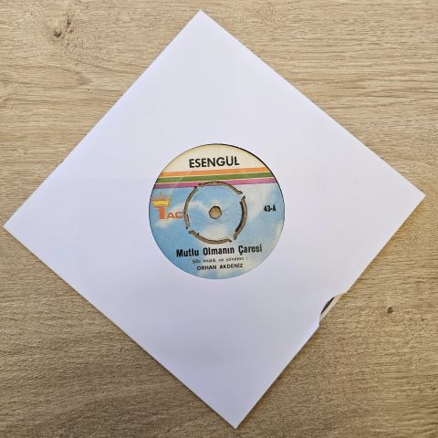 Esengül – Mutlu Olmanın Çaresi / Sen Mutlu Ettin Beni 45LİK PLAK