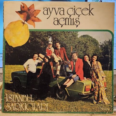 İstanbul Şarkıcıları – Ayva Çiçek Açmış LP PLAK