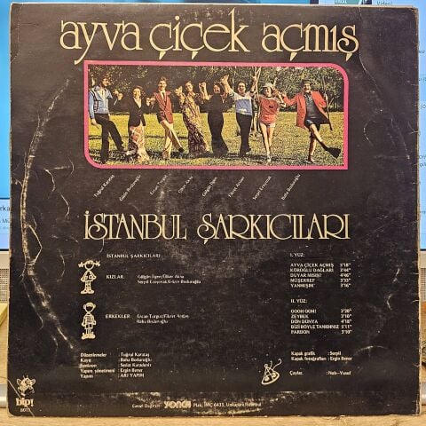 İstanbul Şarkıcıları – Ayva Çiçek Açmış LP PLAK