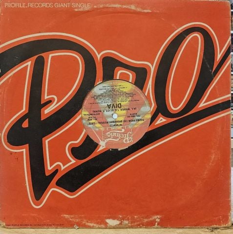 Diva – Memories (Theme From The Broadway Musical ''Cats'') LP PLAK