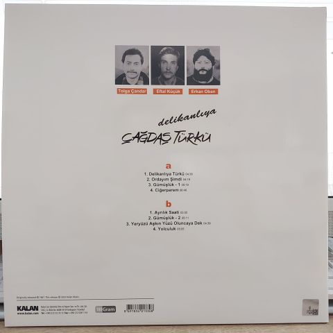 ÇAĞDAŞ TÜRKÜ - DELİKANLIYA LP PLAK