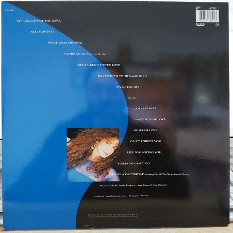 Gloria Estefan – Into The Light LP PLAK