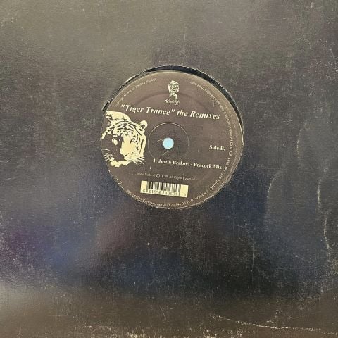 Gary Martin – Tiger Trance (The Remixes) LP PLAK