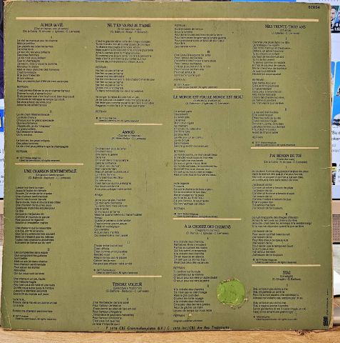 Julio Iglesias – Aimer La Vie LP PLAK