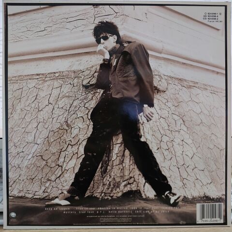 Ric Ocasek – This Side Of Paradise LP PLAK