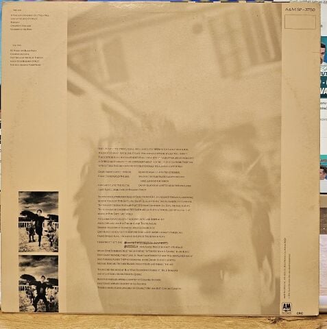 Sting – The Dream Of The Blue Turtles LP PLAK