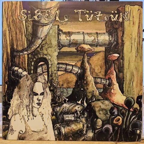 Sibel Tüzün – Hayat Buysa Ben Yokum Bu Yolda LP PLAK