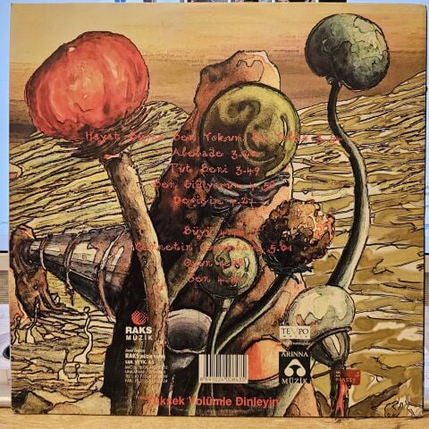 Sibel Tüzün – Hayat Buysa Ben Yokum Bu Yolda LP PLAK