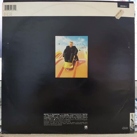 Black (2) – Wonderful Life LP PLAK