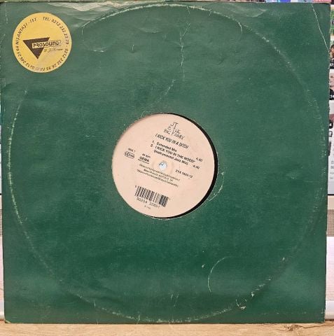 JT & The Big Family* – I Kick You In A Ditch LP PLAK