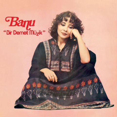 BANU - BİR DEMET MÜZİK LP PLAK