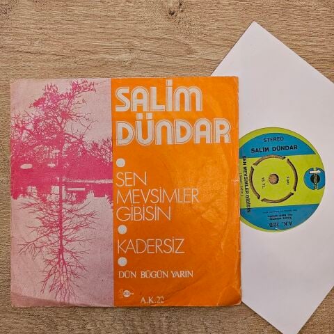 Salim Dündar – Sen Mevsimler Gibisin / Kadersiz 45LİK PLAK