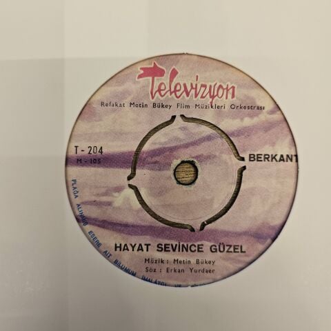 Berkant – Cemo / Hayat Sevince Güzel 45LİK PLAK