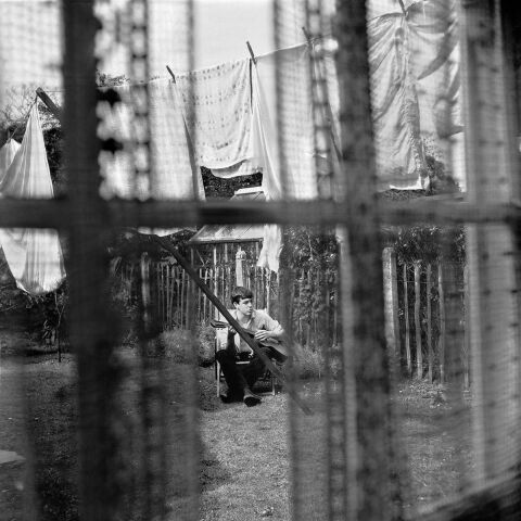 Paul McCartney - Chaos and Creation in the Backyard LP PLAK