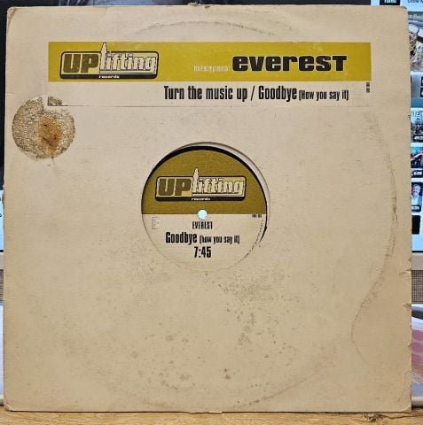 Ian Pooley Presents Everest – Turn The Music Up / Goodbye (How You Say It) LP PLAK