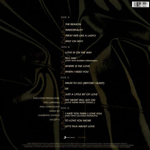 CELİNE DİON - MY HEART WILL GO ON LP PLAK