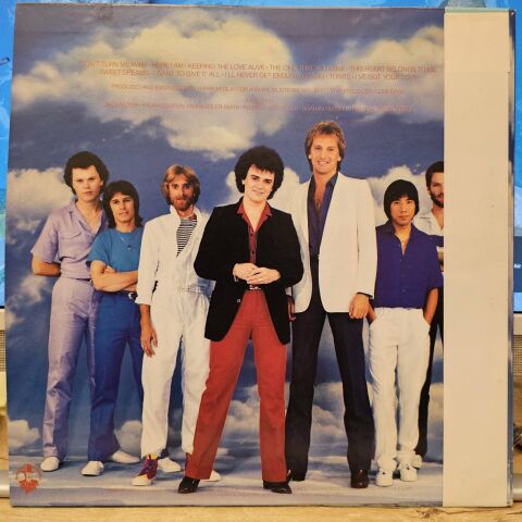 Air Supply – The One That You Love LP PLAK